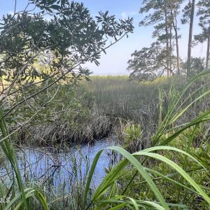Photo #7 of Lot 2 & 3 Strawhorn Creek, Aurora, NC 2.4 acres