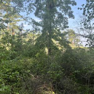 Photo #16 of Lot 2 & 3 Strawhorn Creek, Aurora, NC 2.4 acres