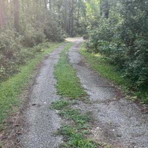 Photo #13 of Lot 2 & 3 Strawhorn Creek, Aurora, NC 2.4 acres