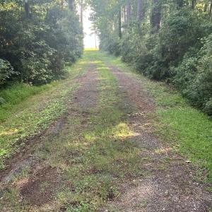Photo #5 of Lot 2 & 3 Strawhorn Creek, Aurora, NC 2.4 acres