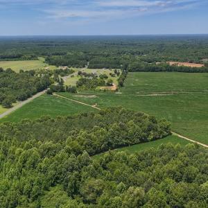 Photo #12 of 03 Titan Roberts, Erwin, NC 12.0 acres
