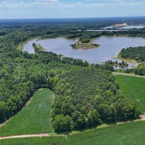 Photo #22 of 03 Titan Roberts, Erwin, NC 12.0 acres
