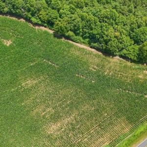 Photo #33 of 03 Titan Roberts, Erwin, NC 12.0 acres