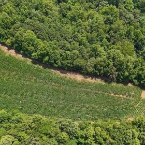 Photo #32 of 03 Titan Roberts, Erwin, NC 12.0 acres