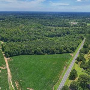Photo #30 of 03 Titan Roberts, Erwin, NC 12.0 acres
