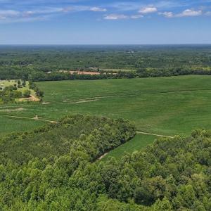 Photo #9 of 03 Titan Roberts, Erwin, NC 12.0 acres