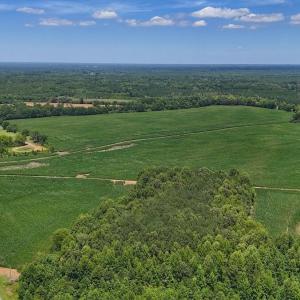 Photo #6 of 03 Titan Roberts, Erwin, NC 12.0 acres