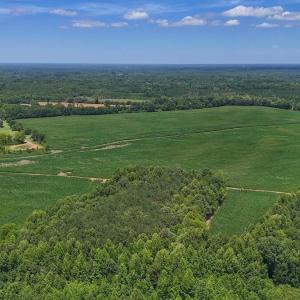 Photo #8 of 03 Titan Roberts, Erwin, NC 12.0 acres