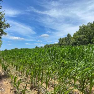 Photo #31 of 03 Titan Roberts, Erwin, NC 12.0 acres