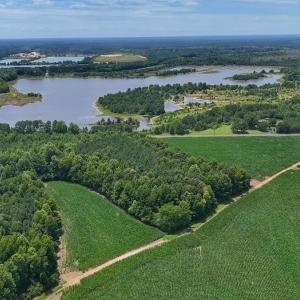 Photo #18 of 03 Titan Roberts, Erwin, NC 12.0 acres
