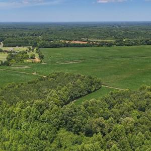 Photo #11 of 03 Titan Roberts, Erwin, NC 12.0 acres