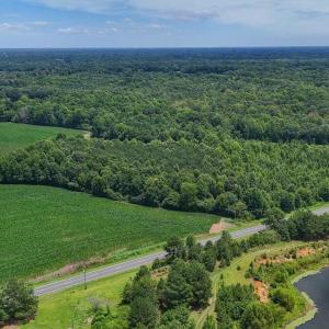 Photo #2 of 03 Titan Roberts, Erwin, NC 12.0 acres