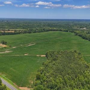 Photo #5 of 03 Titan Roberts, Erwin, NC 12.0 acres
