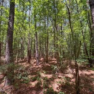 Photo #23 of 03 Titan Roberts, Erwin, NC 12.0 acres