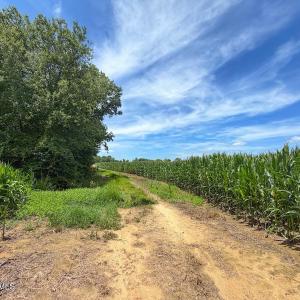 Photo #17 of 03 Titan Roberts, Erwin, NC 12.0 acres