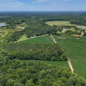 Photo #15 of 03 Titan Roberts, Erwin, NC 12.0 acres