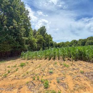 Photo #20 of 03 Titan Roberts, Erwin, NC 12.0 acres