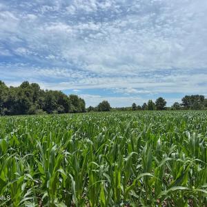 Photo #29 of 03 Titan Roberts, Erwin, NC 12.0 acres