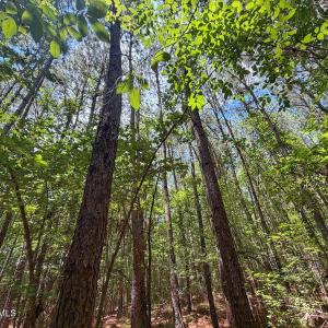 Photo #15 of 04 Titan Roberts, Erwin, NC 15.0 acres