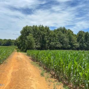 Photo #23 of 04 Titan Roberts, Erwin, NC 15.0 acres