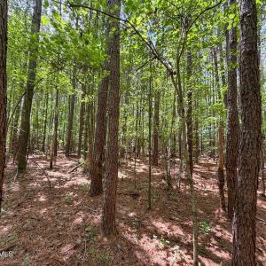 Photo #28 of 04 Titan Roberts, Erwin, NC 15.0 acres