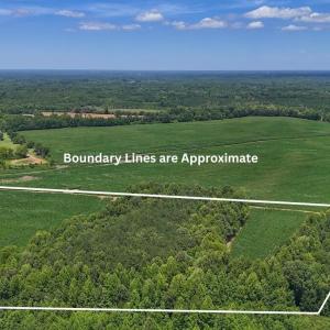 Photo #37 of 04 Titan Roberts, Erwin, NC 15.0 acres