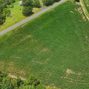Photo #32 of 04 Titan Roberts, Erwin, NC 15.0 acres