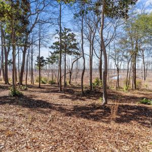 Photo #5 of 1405 Ness, Castle Hayne, NC 0.5 acres