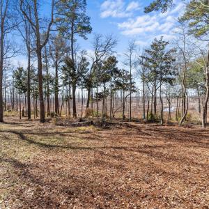 Photo #9 of 1405 Ness, Castle Hayne, NC 0.5 acres