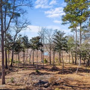 Photo #4 of 1405 Ness, Castle Hayne, NC 0.5 acres