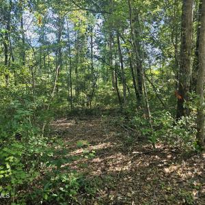 Photo #11 of 4278 Us 117, Burgaw, NC 8.4 acres