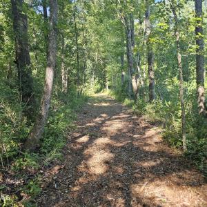 Photo #13 of 4278 Us 117, Burgaw, NC 8.4 acres