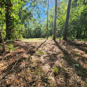 Photo #9 of 4278 Us 117, Burgaw, NC 8.4 acres