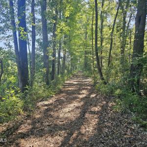 Photo #14 of 4278 Us 117, Burgaw, NC 8.4 acres