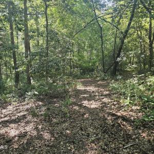 Photo #16 of 4278 Us 117, Burgaw, NC 8.4 acres
