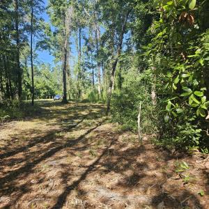 Photo #10 of 4278 Us 117, Burgaw, NC 8.4 acres