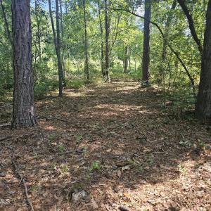 Photo #12 of 4278 Us 117, Burgaw, NC 8.4 acres