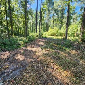 Photo #8 of 4278 Us 117, Burgaw, NC 8.4 acres