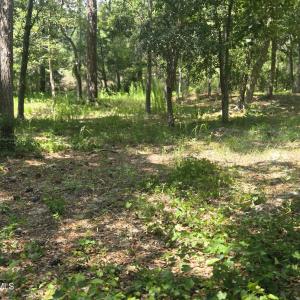 Photo #5 of 3183 Mullet Creek, Bolivia, NC 0.3 acres