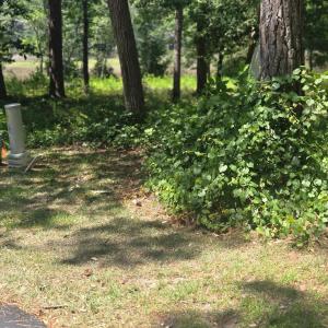 Photo #2 of 3179 Mullet Creek, Bolivia, NC 0.3 acres