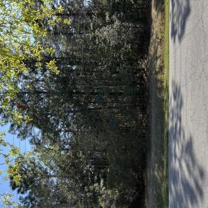 Photo #1 of 7134 Masonboro Sound, Wilmington, NC 0.5 acres