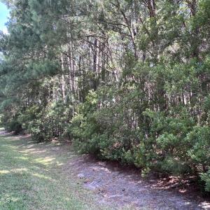 Photo #4 of 42 Windy, Belhaven, NC 4.0 acres