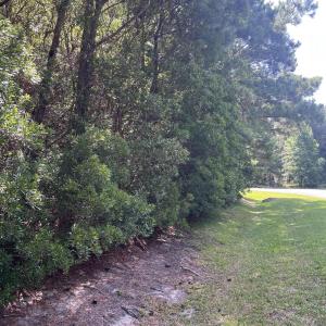 Photo #6 of 42 Windy, Belhaven, NC 4.0 acres