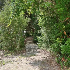 Photo #3 of 114 Sandpiper, Indian Beach, NC 1.5 acres