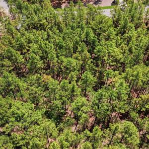 Photo #4 of 104 Brookfield, Pinehurst, NC 0.9 acres