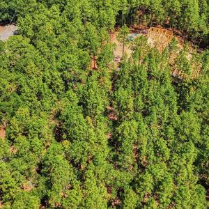 Photo #5 of 104 Brookfield, Pinehurst, NC 0.9 acres