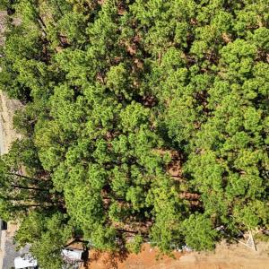 Photo #7 of 104 Brookfield, Pinehurst, NC 0.9 acres
