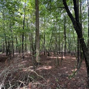 Photo #4 of B15 L26 Blair, McCormick, SC 0.6 acres