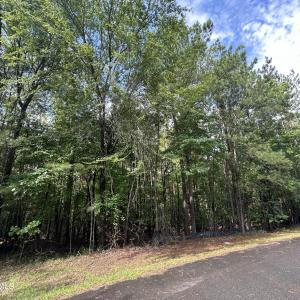 Photo #3 of B15 L26 Blair, McCormick, SC 0.6 acres