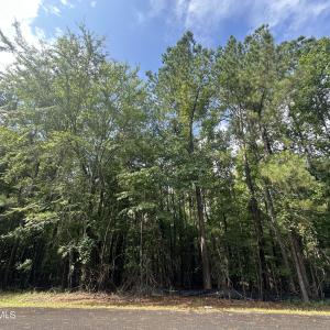 Photo #1 of B15 L26 Blair, McCormick, SC 0.6 acres